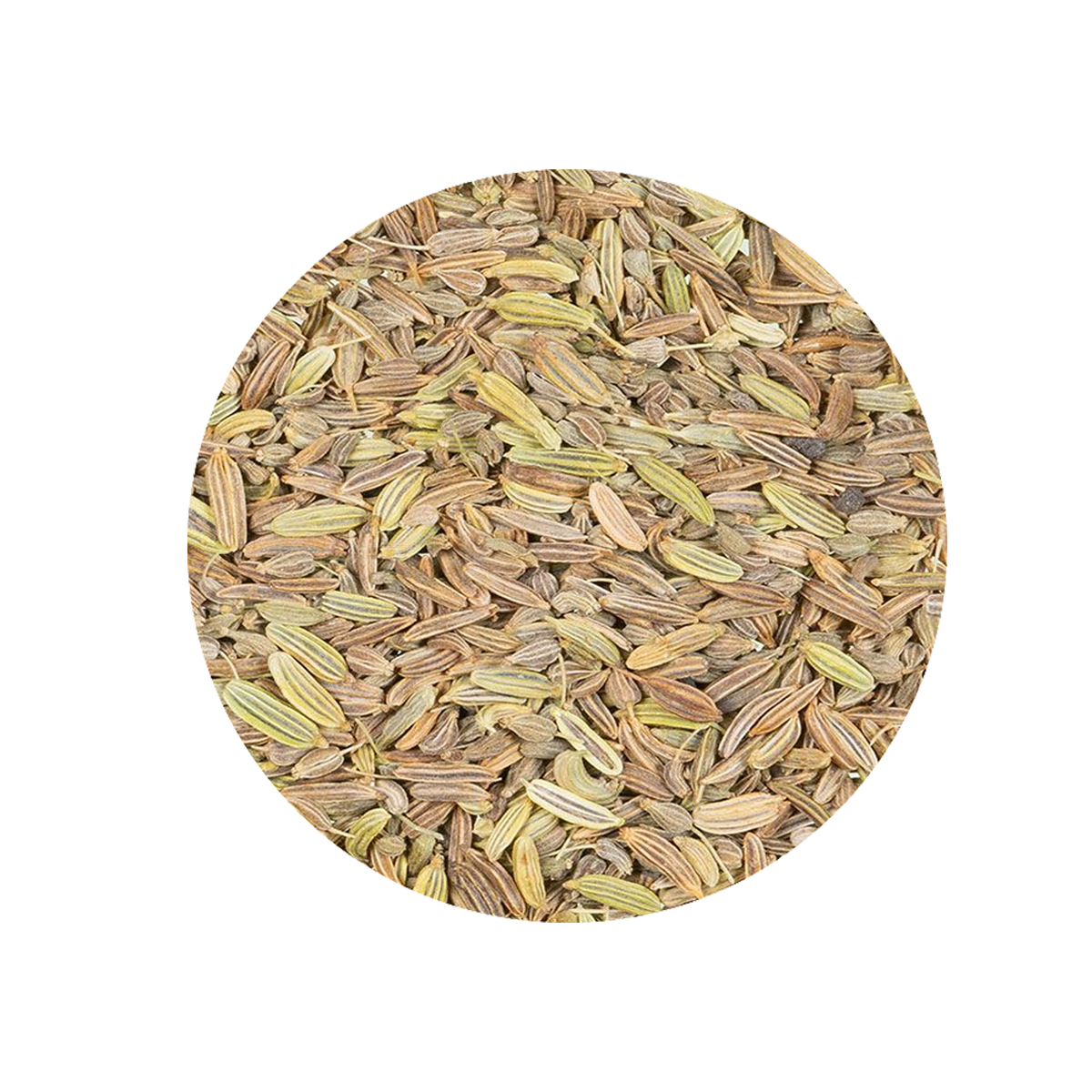 Herbal Tea Fennel and Anise.