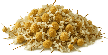 Herbal Tea Chamomile Flowers.